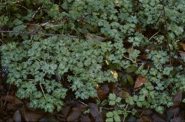 08a-2018-12-13-res.jpg