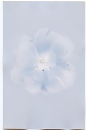 171302a.jpg