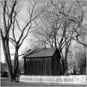 View trees shed  003 copy.jpg