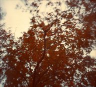 12b-2018-10-23b-res.jpg