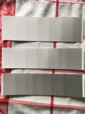 test-strips.JPG