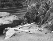 1_Truman Cove, NZ_16x20.jpg