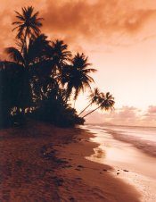 Tropical Sunrise, PR.jpg Tropical Sunrise, PR.jpg