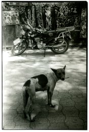 Untitled-Scanned-03.jpg