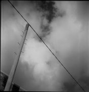 10 04 18 molley hp5 d76472 (3).jpg