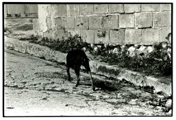 Untitled-Scanned-10.jpg