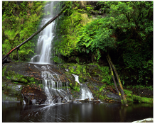 6747-5_Erskine Falls_II_GONP2015.png 6747-5_Erskine Falls_II_GONP2015.png