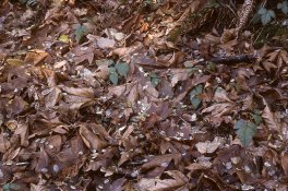 01a-2018-12-13-res.jpg
