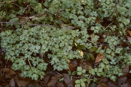 08a-2018-12-13-res.jpg