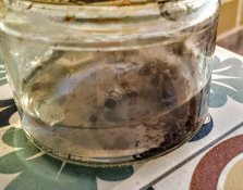 IMG_20190320_185825.jpg