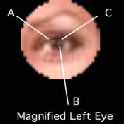 magnified_view.jpg