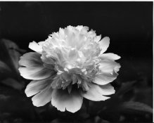 thumb and light04 001.jpg