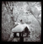 rollei---petzval-cold-chick.jpg