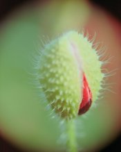 Scan-20110514-0003.jpg