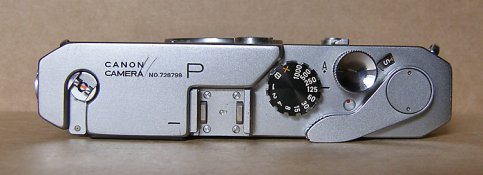 P body top web.jpg
