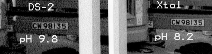 DS-2 vs Xtol-1.jpg