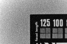 EFG-1 + NaCl copy.jpg