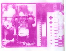 Kodak Magenta on Kodabromide - holmburgersAPUG.jpg
