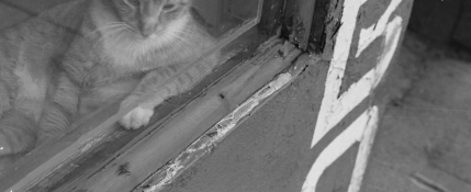 Screen shot 2011-06-04 at 2.14.01 PM.PNG