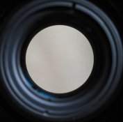 IMG_4331.jpg