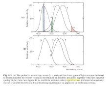 TRICOLOR - Sensitivity Curves.JPG
