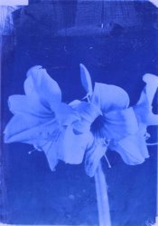 straightblue2web.jpg straightblue2web.jpg