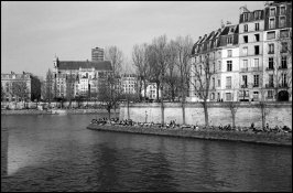 River Bank 014 copy 2.jpg