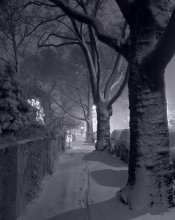 Bicycle_Tracks_in_the_Snow.jpg