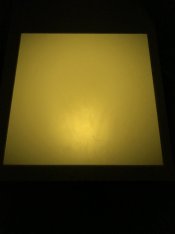 35A47728-AA65-49D8-826F-CFEC2A01243C.jpeg