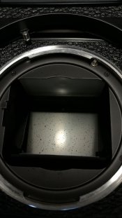 Mirror.jpg Mirror.jpg