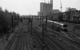 parkland_002.jpg