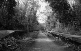 parkland_018.jpg