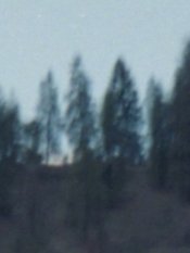 ZNa002_100pct_crop.jpg