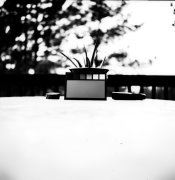 _0000020.jpg