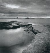 pan F kauai Salt marsh 2.jpg