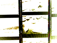 screenshot.png