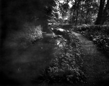 Lasne_4x5.Pin.jpg