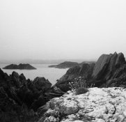 AutocordFp4 Mizen Hd 630.jpg