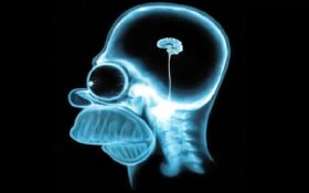 Homer-simpson-brain1280x80018857.jpg