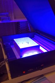 uv-lightbox-2.jpg