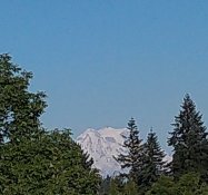 IMG_20190615_184609840~2.jpg