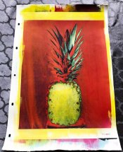 Pineapple.jpg