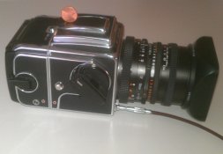 IMAG9883-1.jpg
