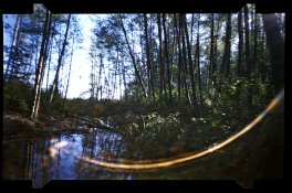 south arms pinhole 3 res.jpg