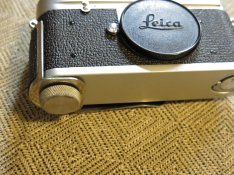 IMG_2397.JPG