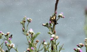 Colorplus_proof017.jpg