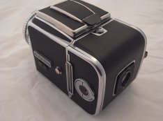 R1111743.JPG