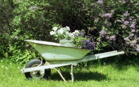 Wheelbarrow.jpg