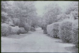 eg4.jpg