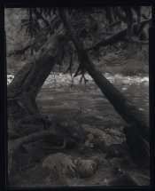 Englishman River.jpg